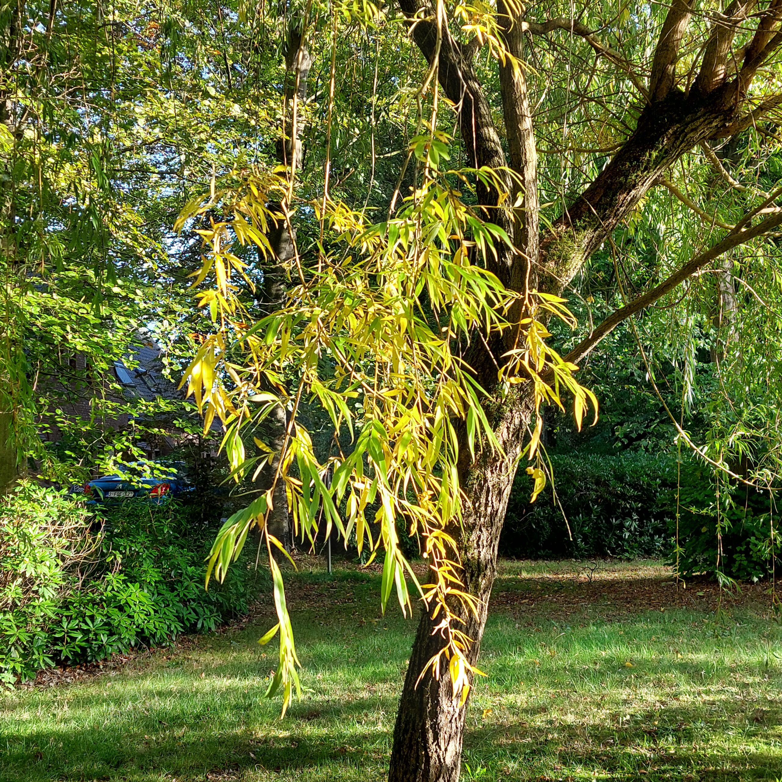 Natuur in Bethanië oktober 2025