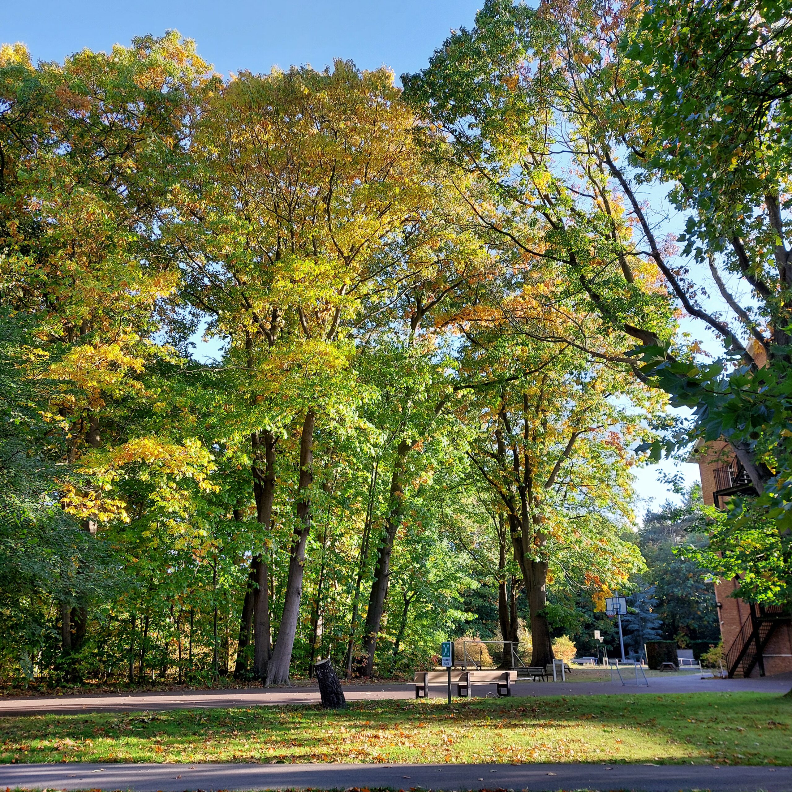 Natuur in Bethanië oktober 2025