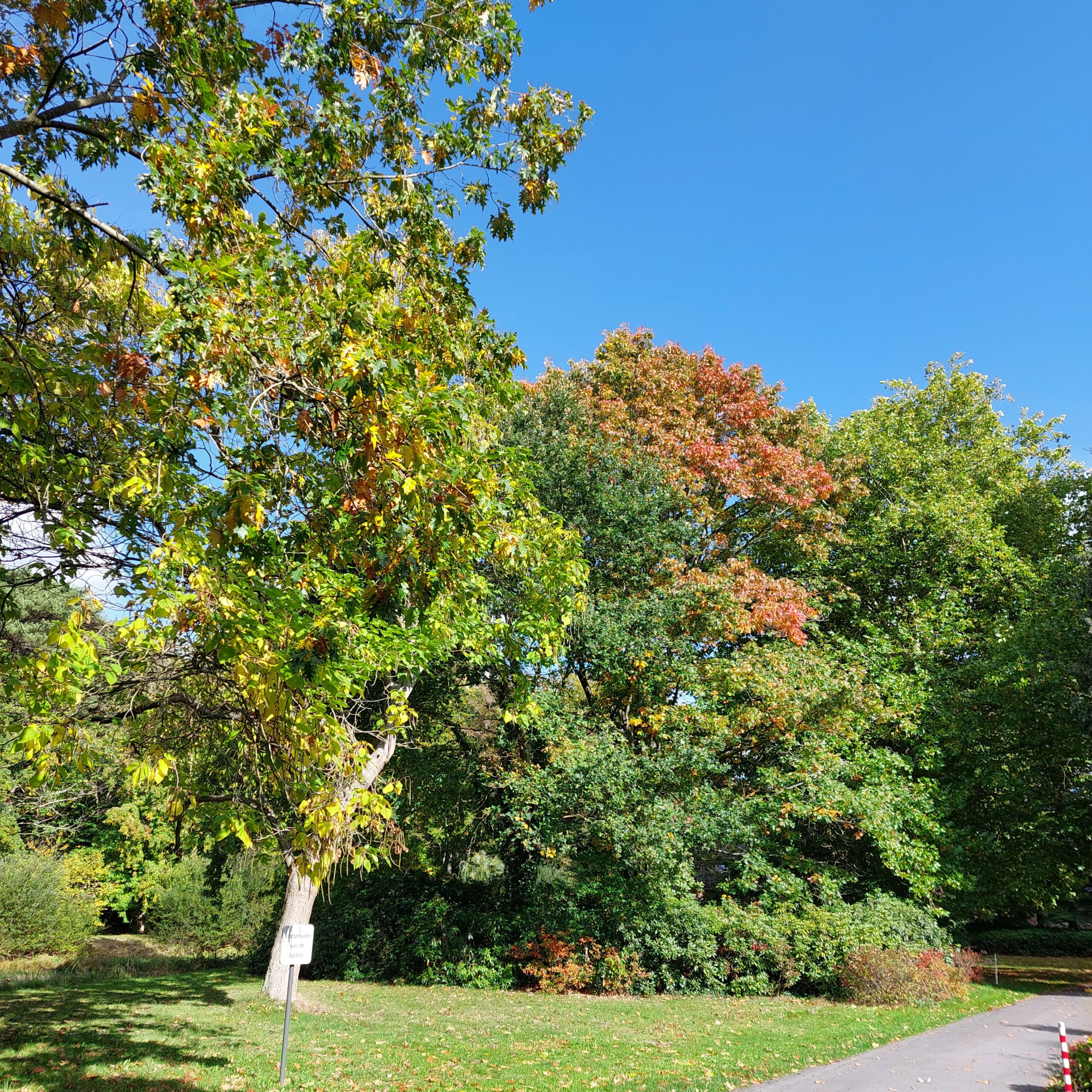 Natuur in Bethanië oktober 2025