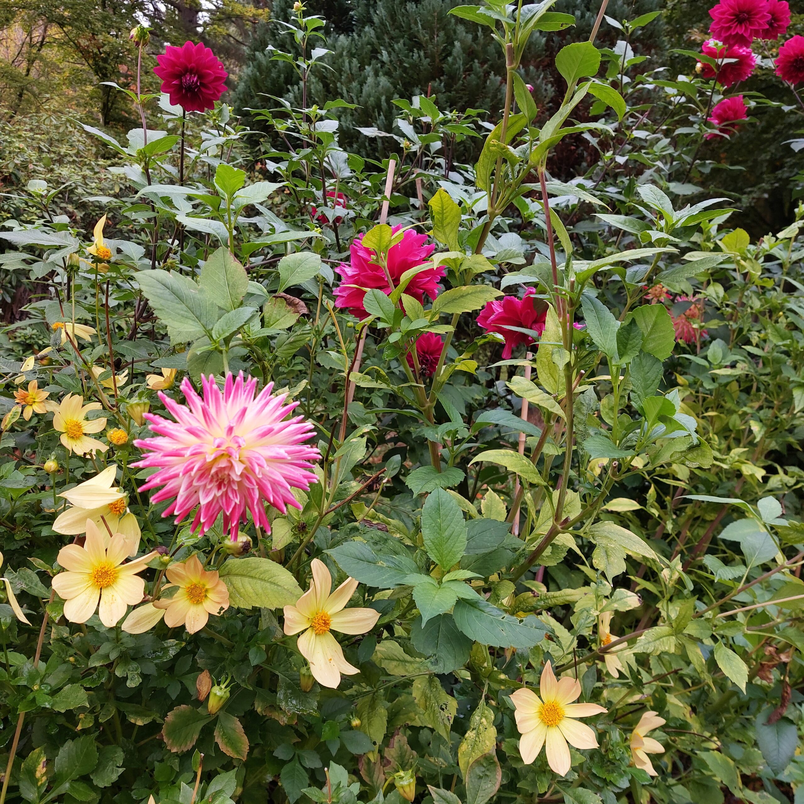 Natuur in Bethanië oktober 2025