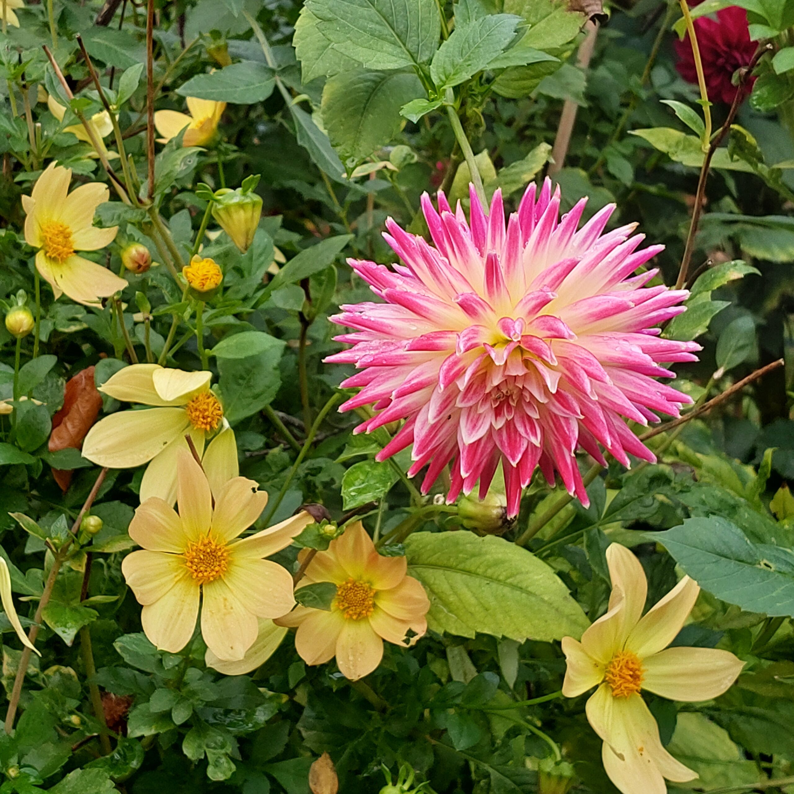Natuur in Bethanië oktober 2025
