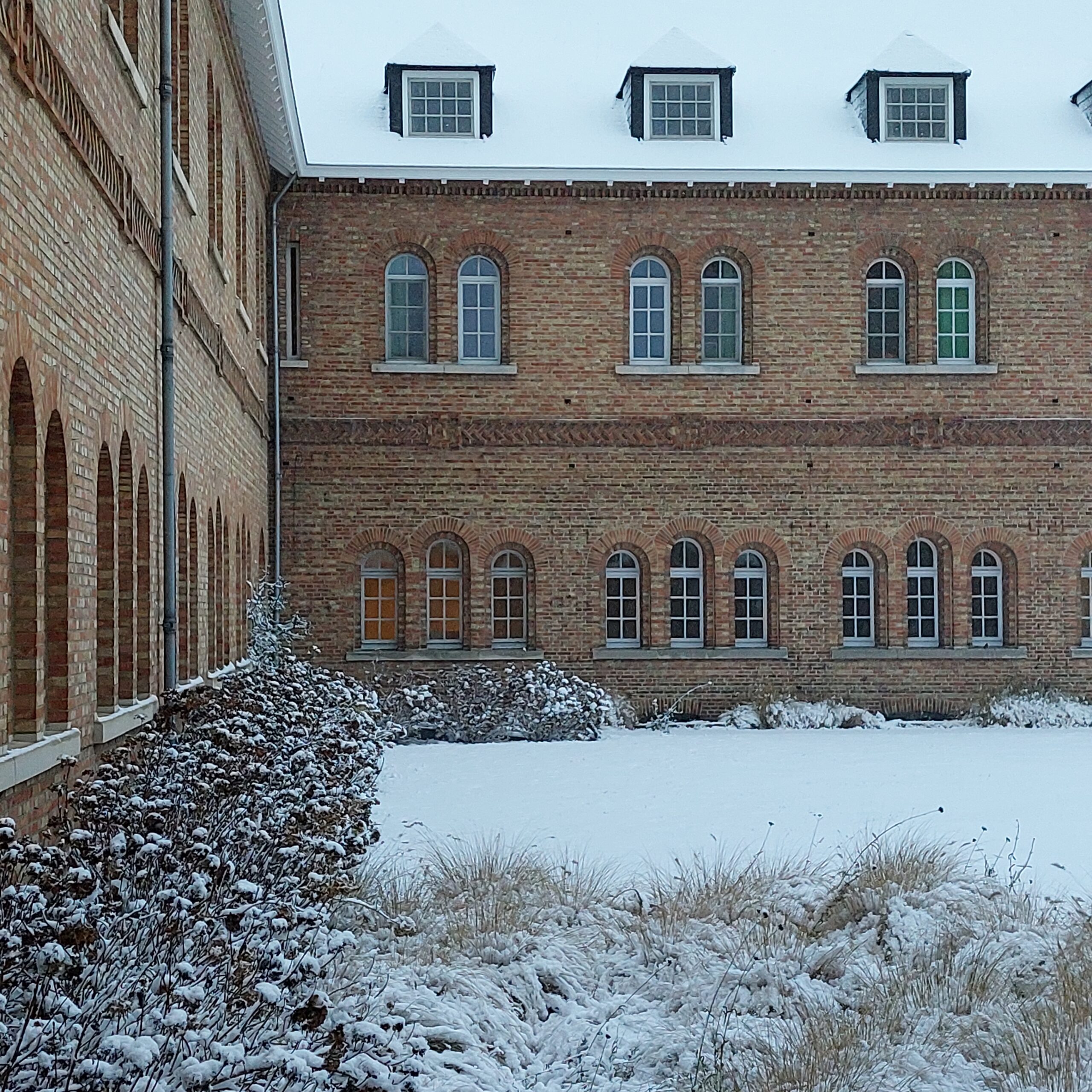 Natuur in Bethanië januari 2026