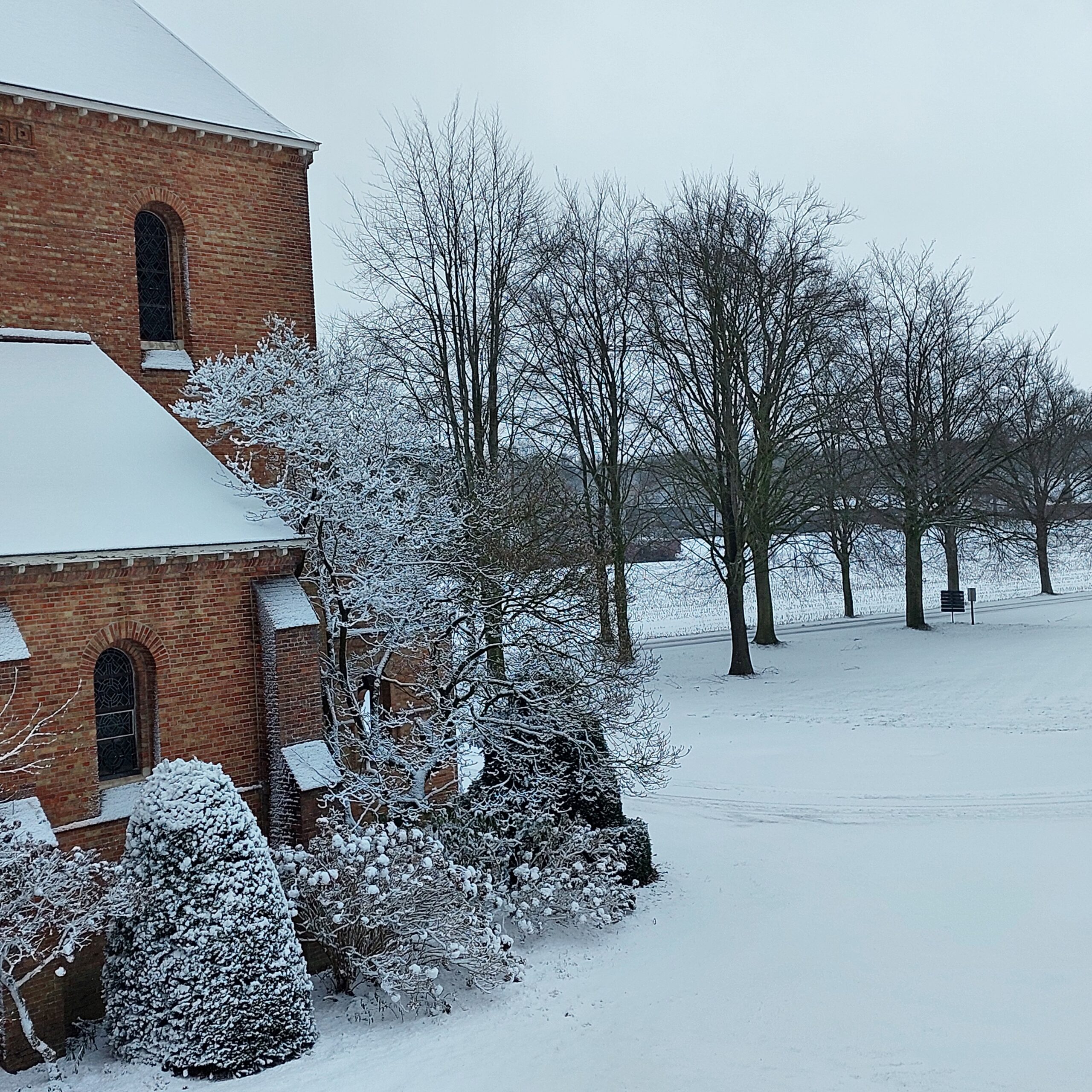 Natuur in Bethanië januari 2026