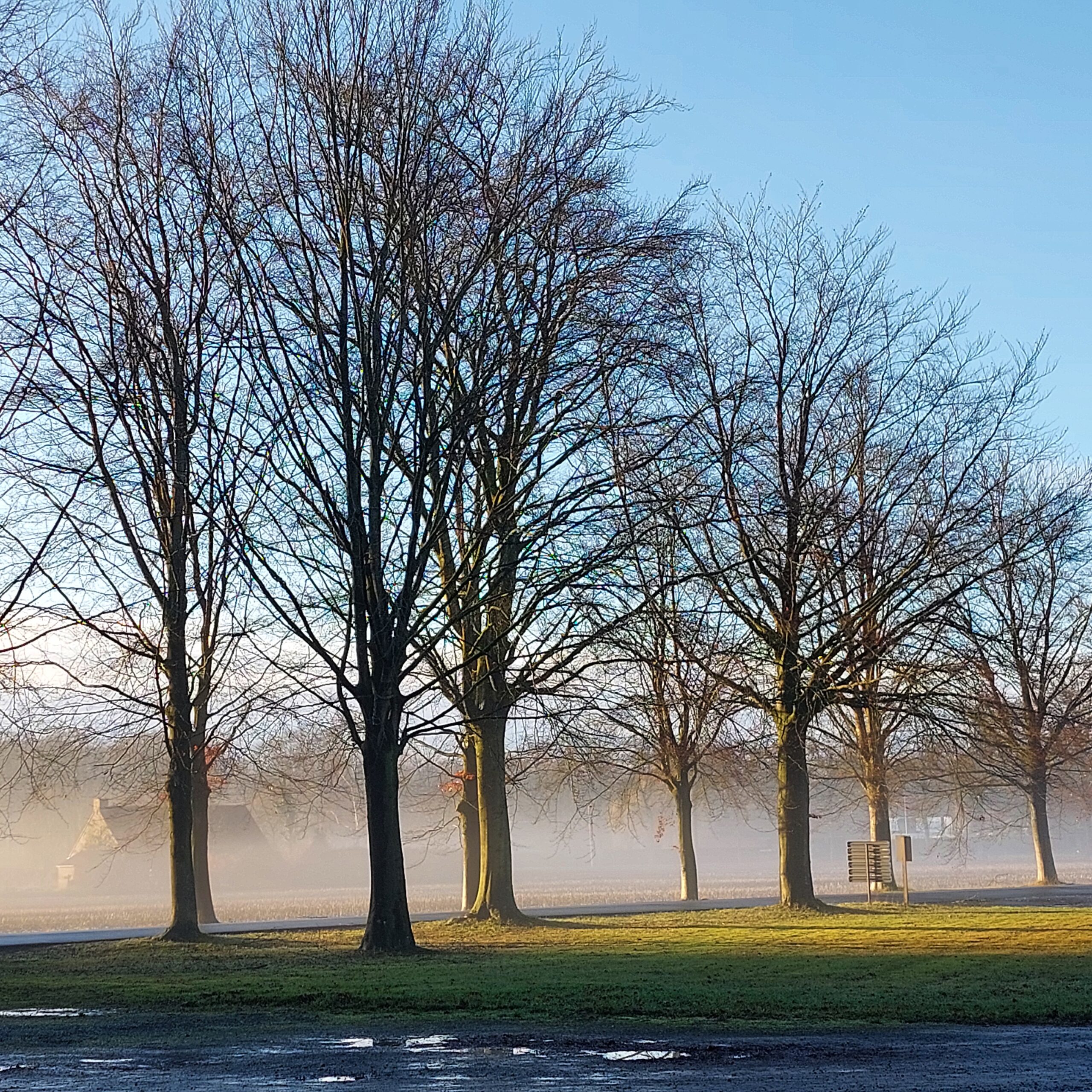 Natuur in Bethanië januari 2026