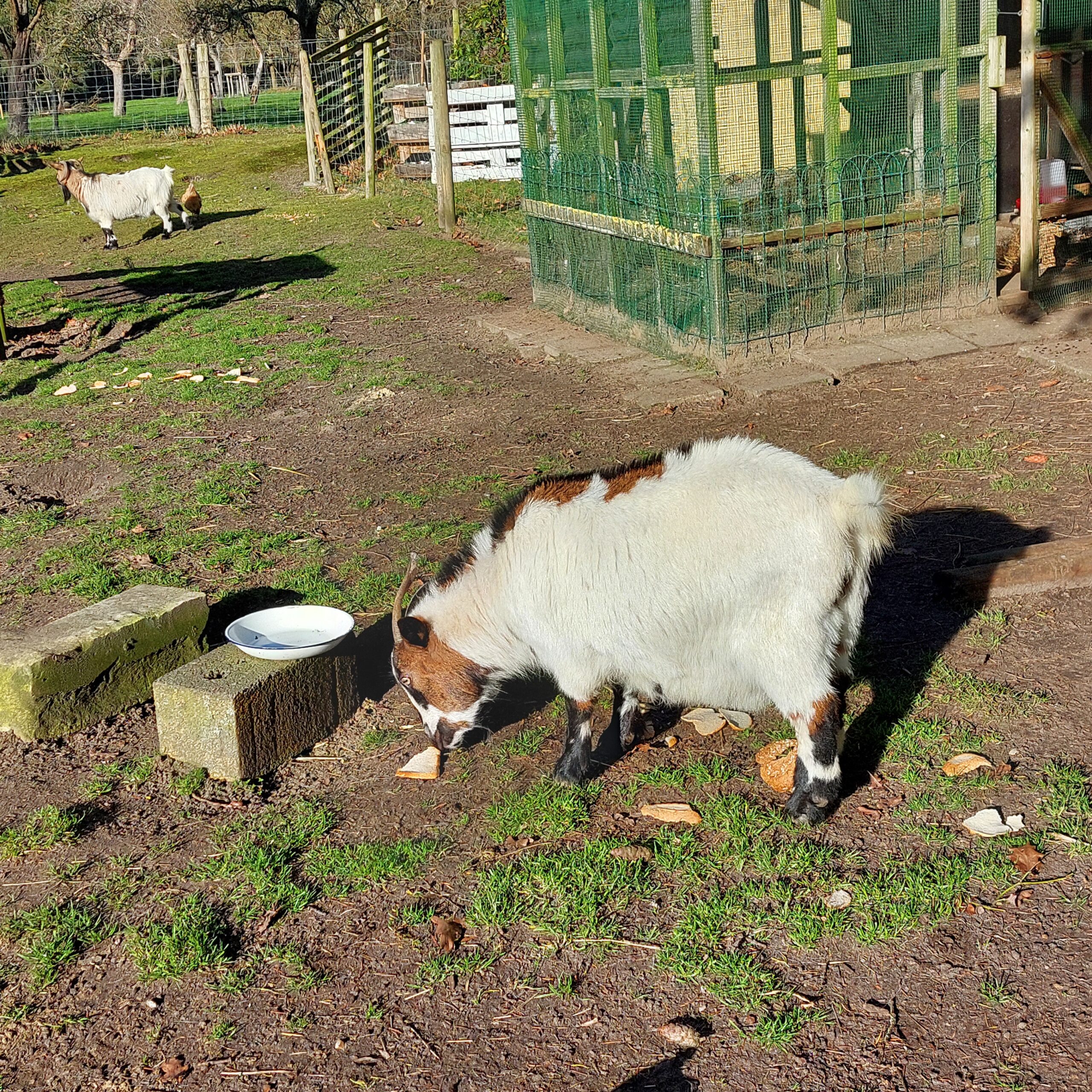 Natuur in Bethanië januari 2026