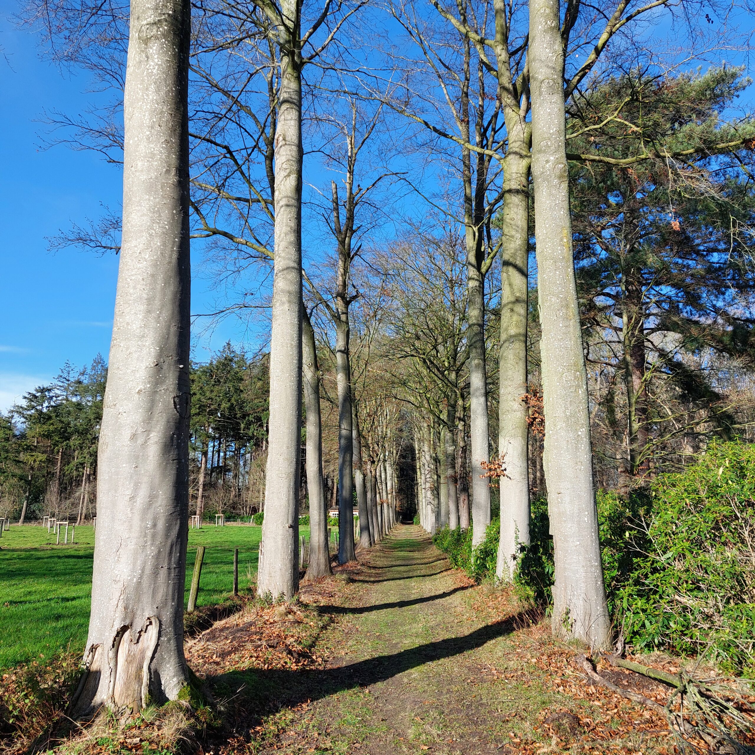 Natuur in Bethanië januari 2026