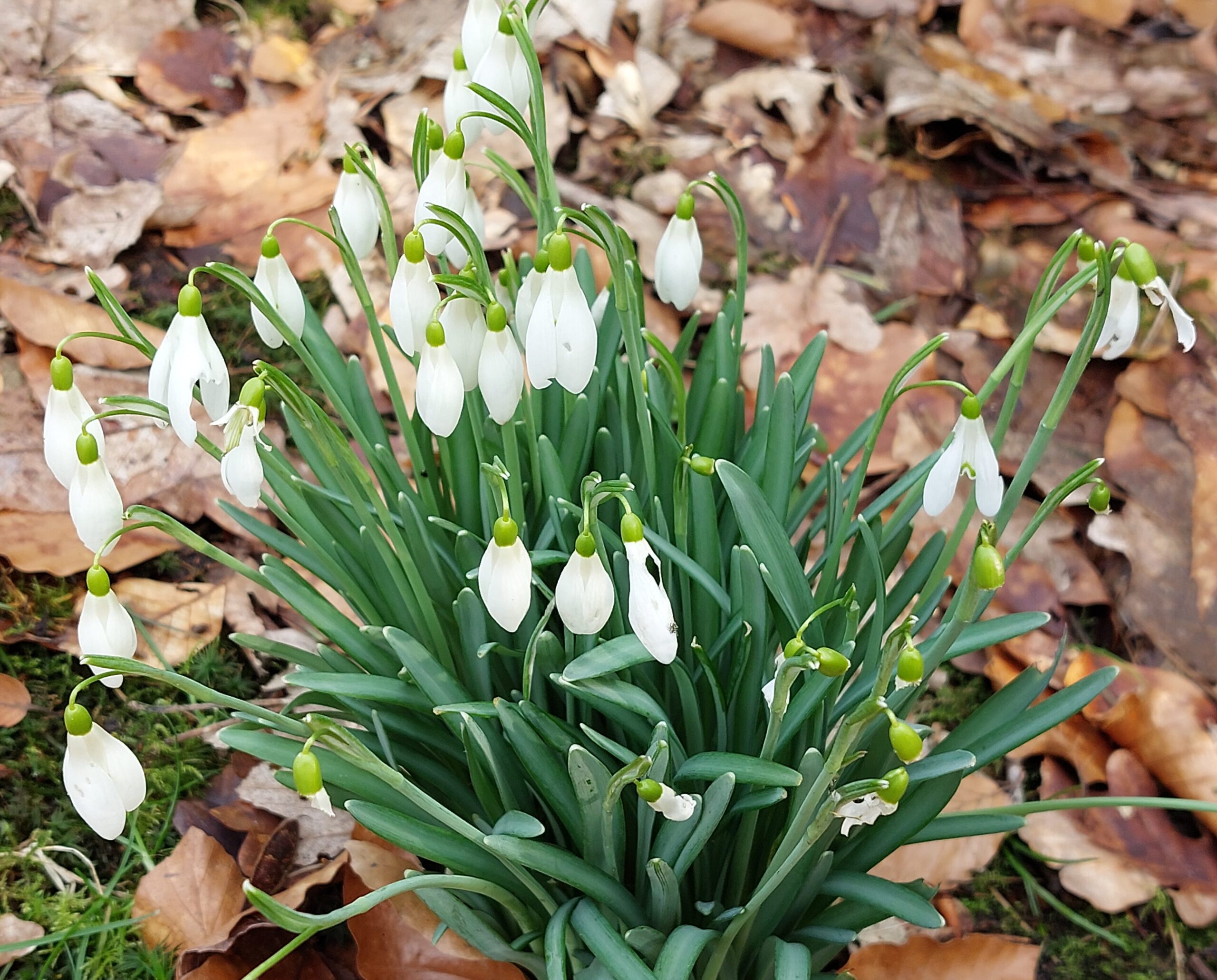 Sfeerbeeld Priorij Bethanië