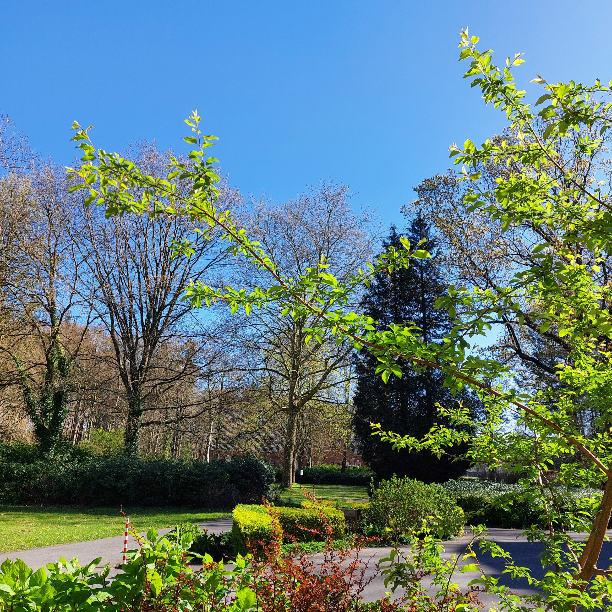 Natuur in Bethanië april 2026