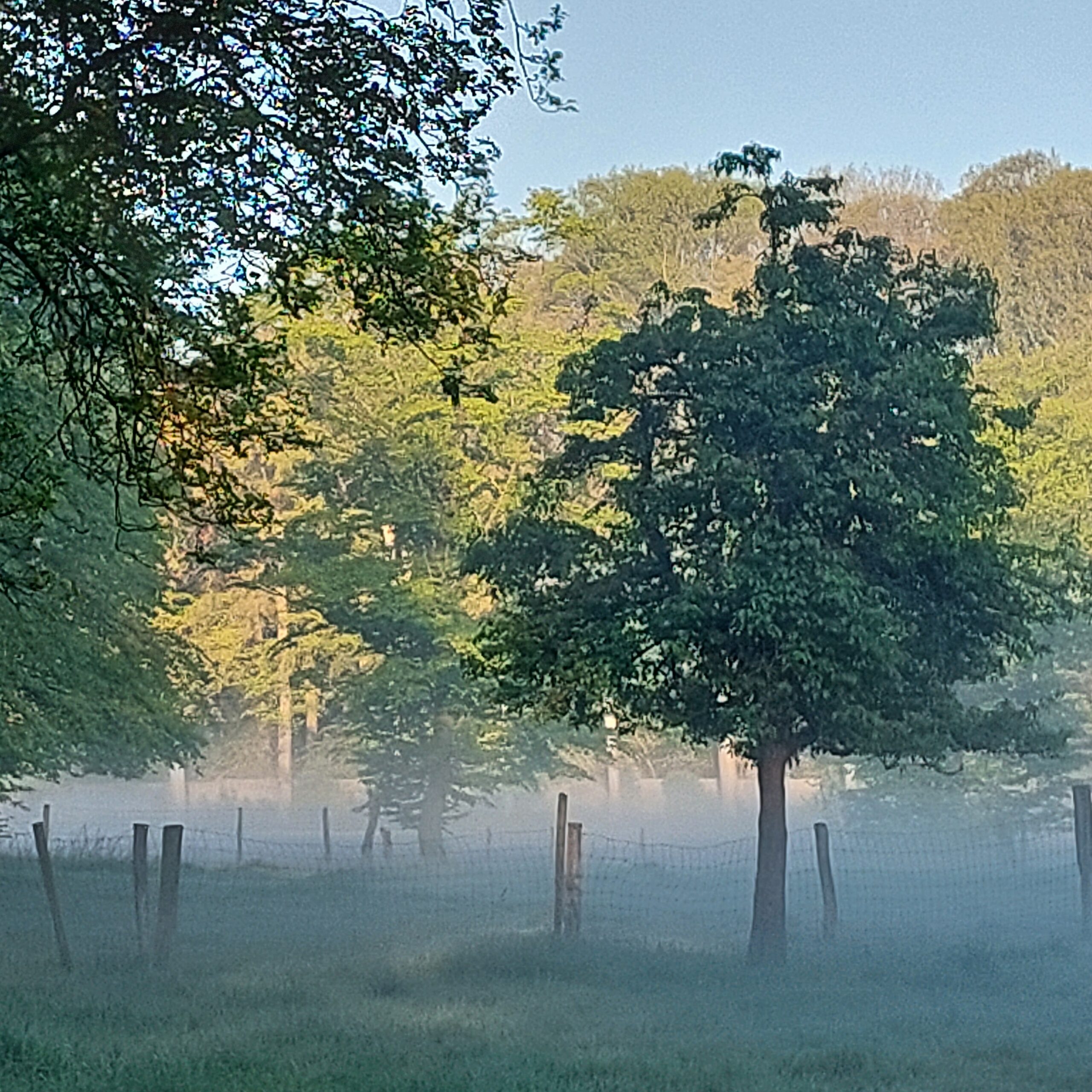 Natuur in Bethanië mei 2026