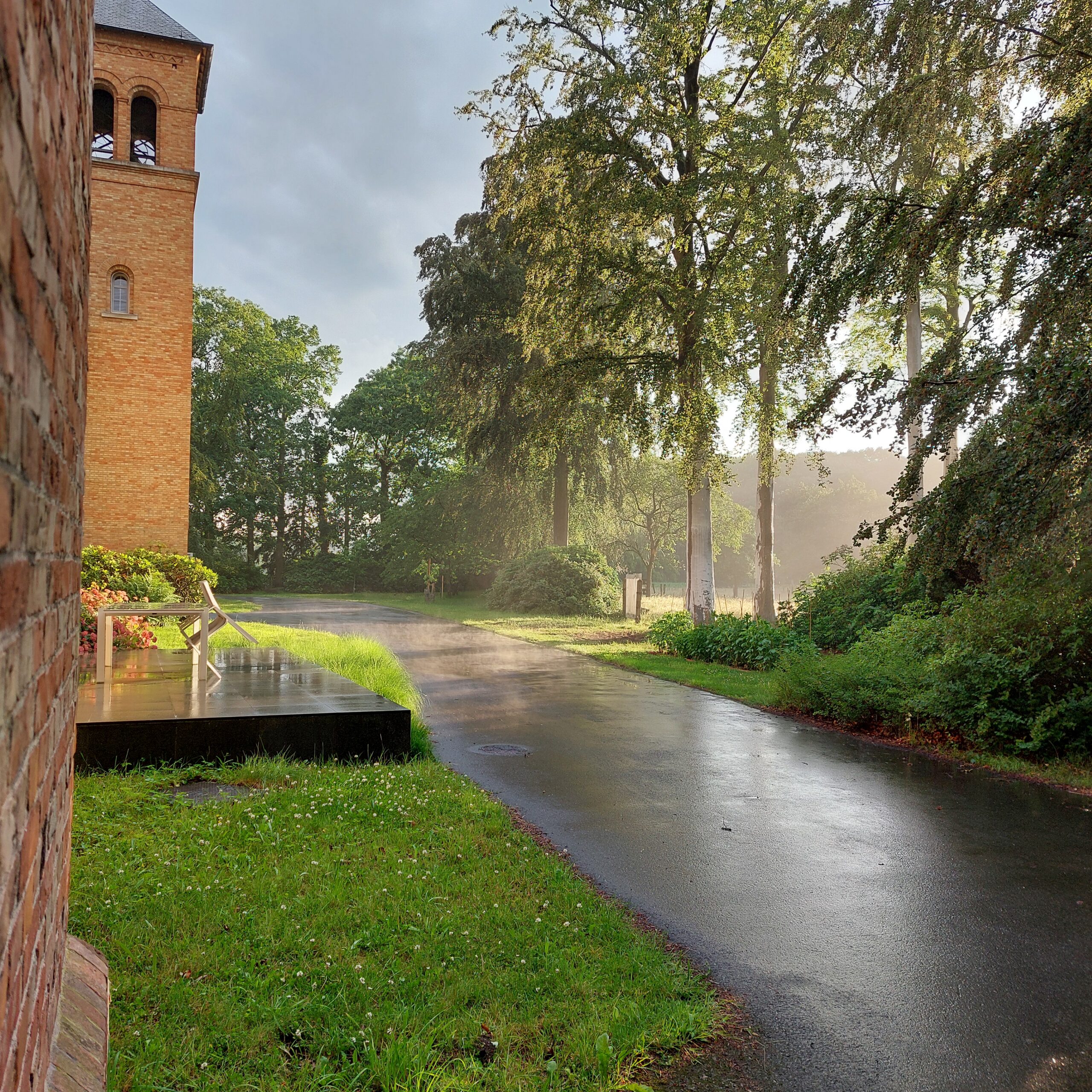 Natuur in Bethanië juli 2026