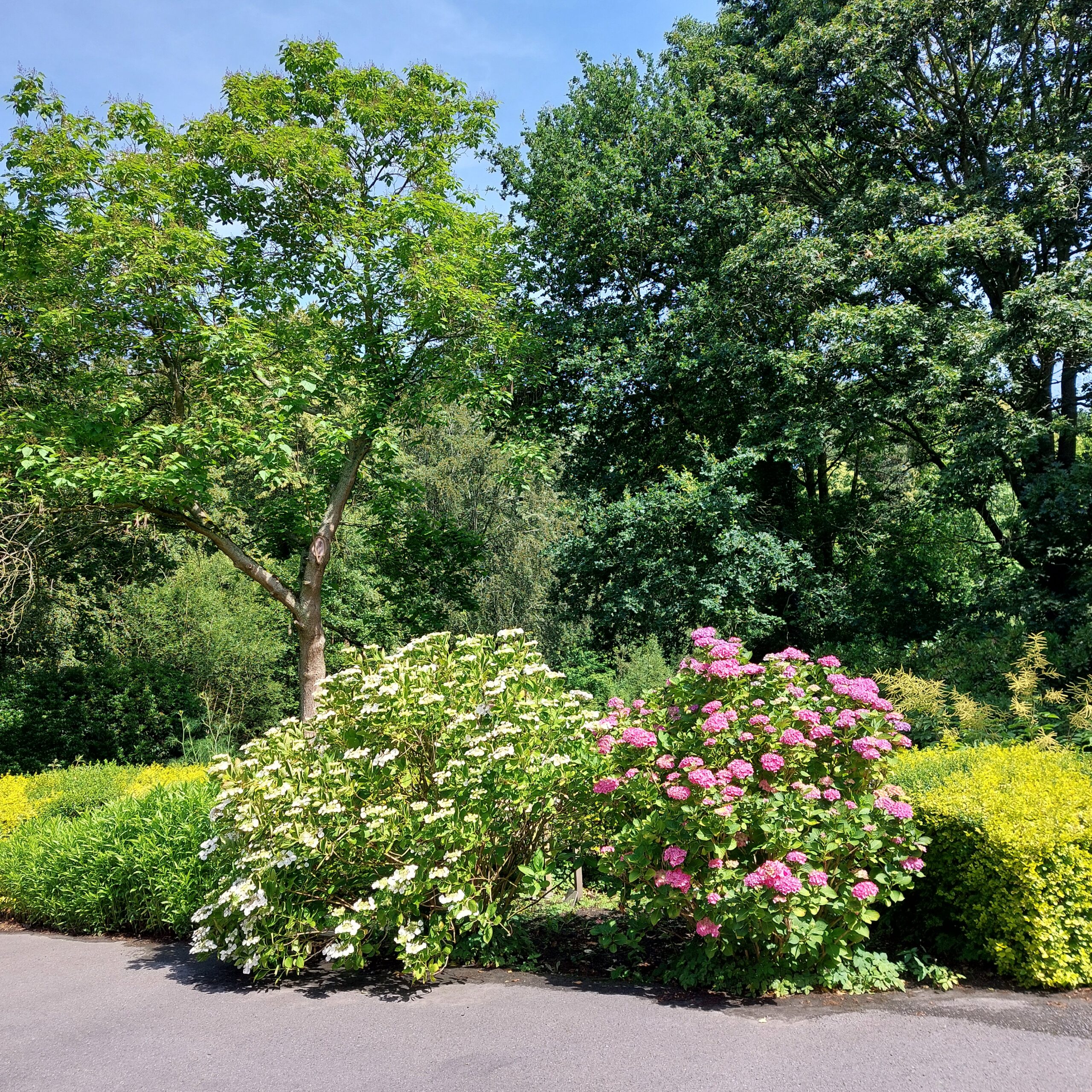 Natuur in Bethanië juli 2026