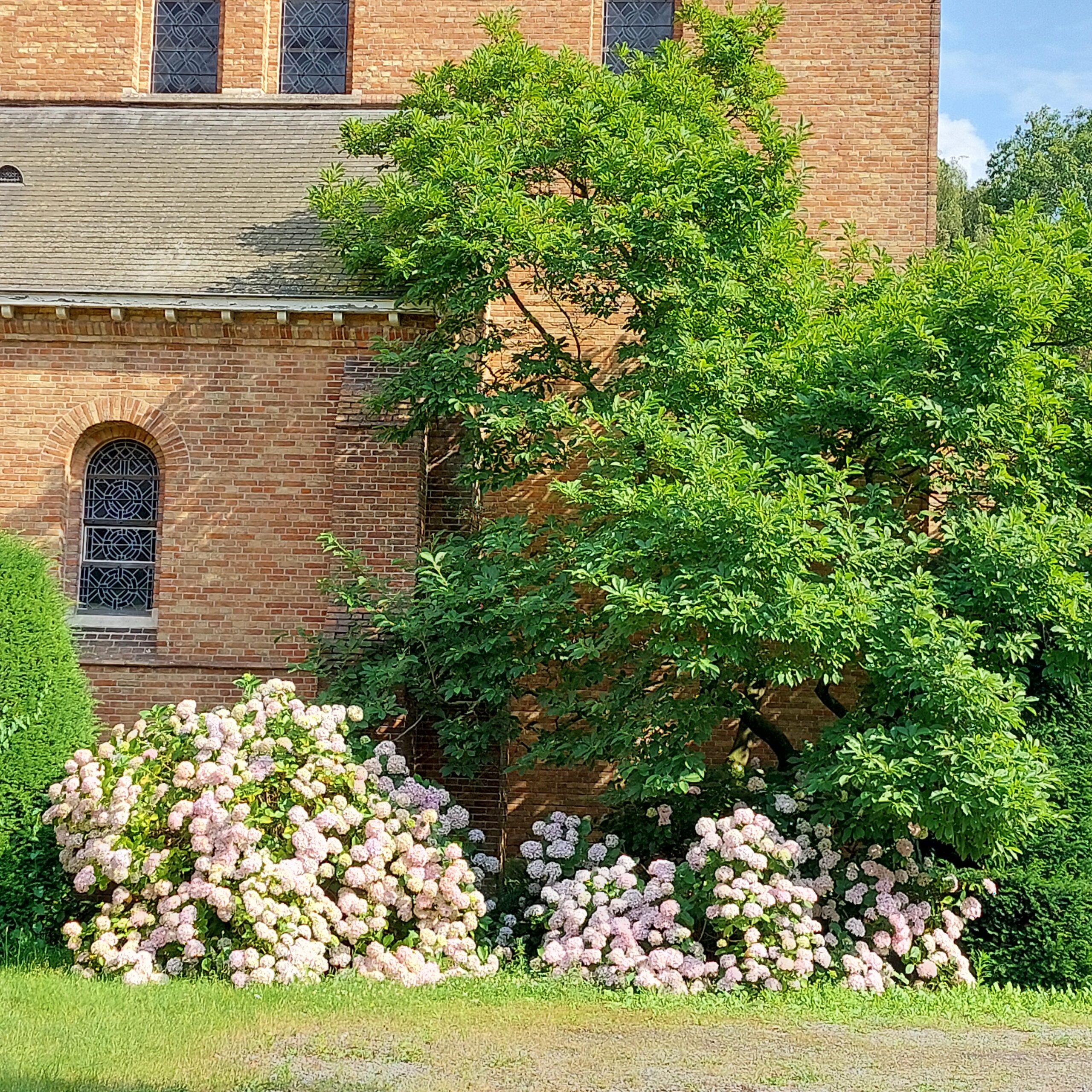 Natuur in Bethanië juli 2026