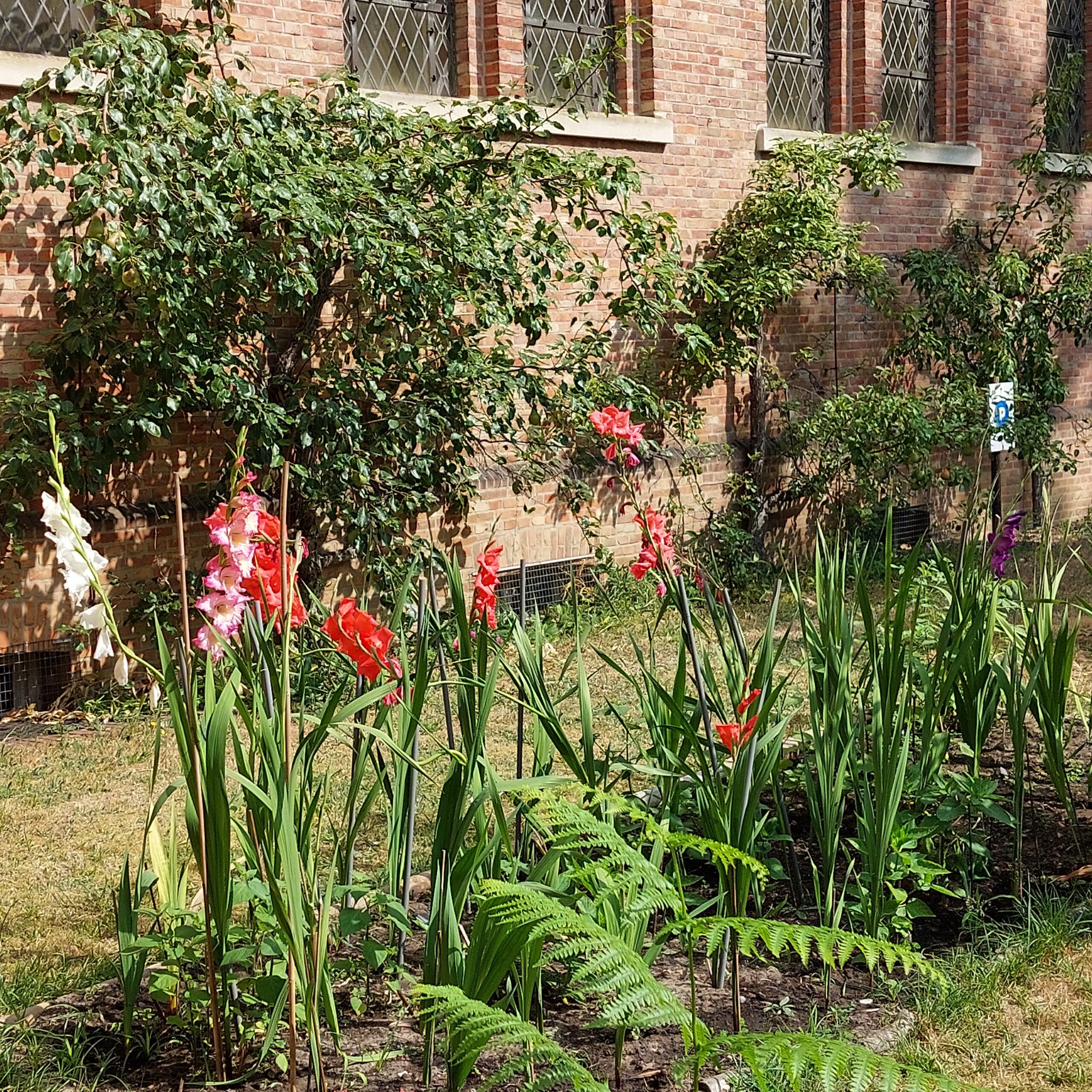 De eerste dag in ’t Blomme-hof op 6 september 2026