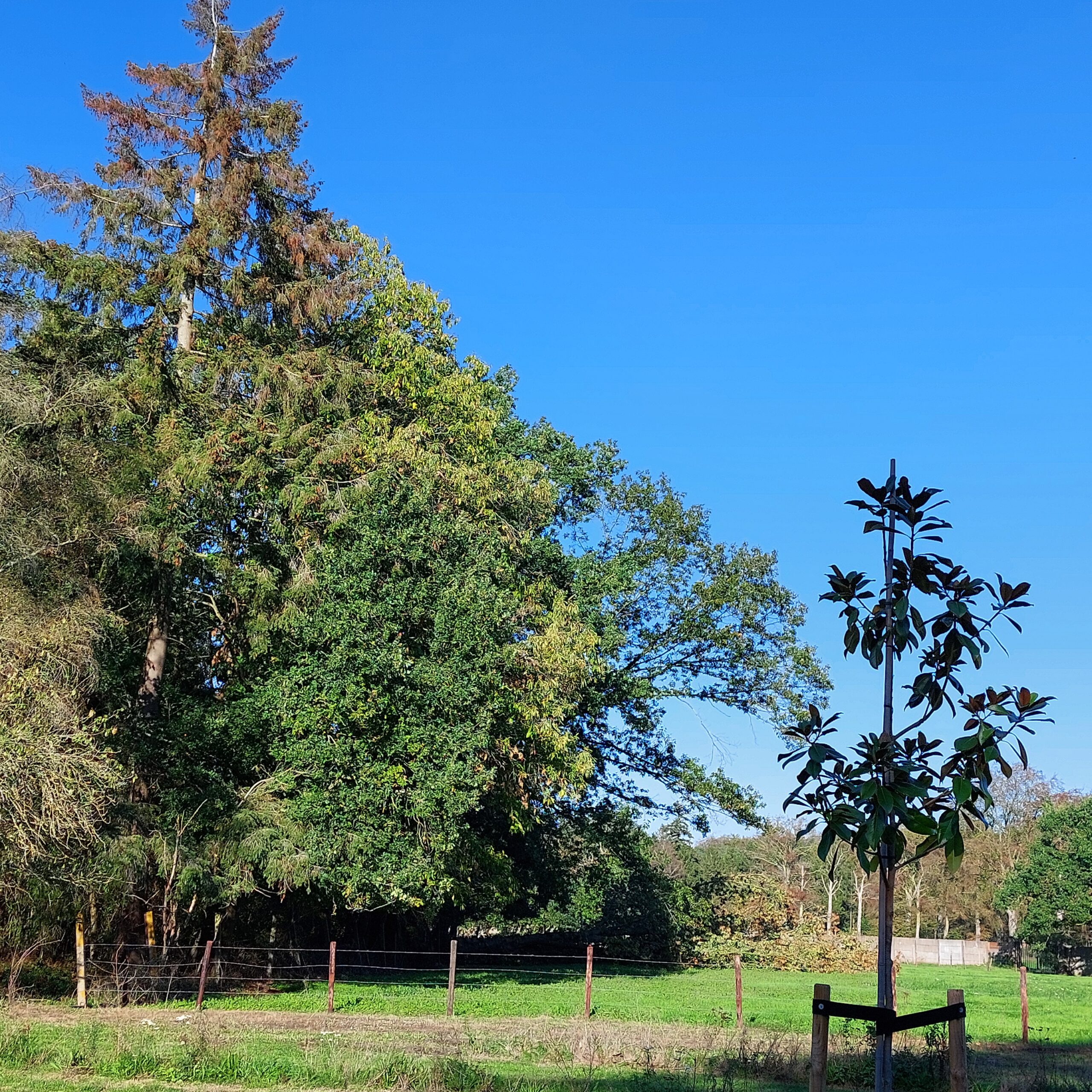 Natuur in Bethanië oktober 2026