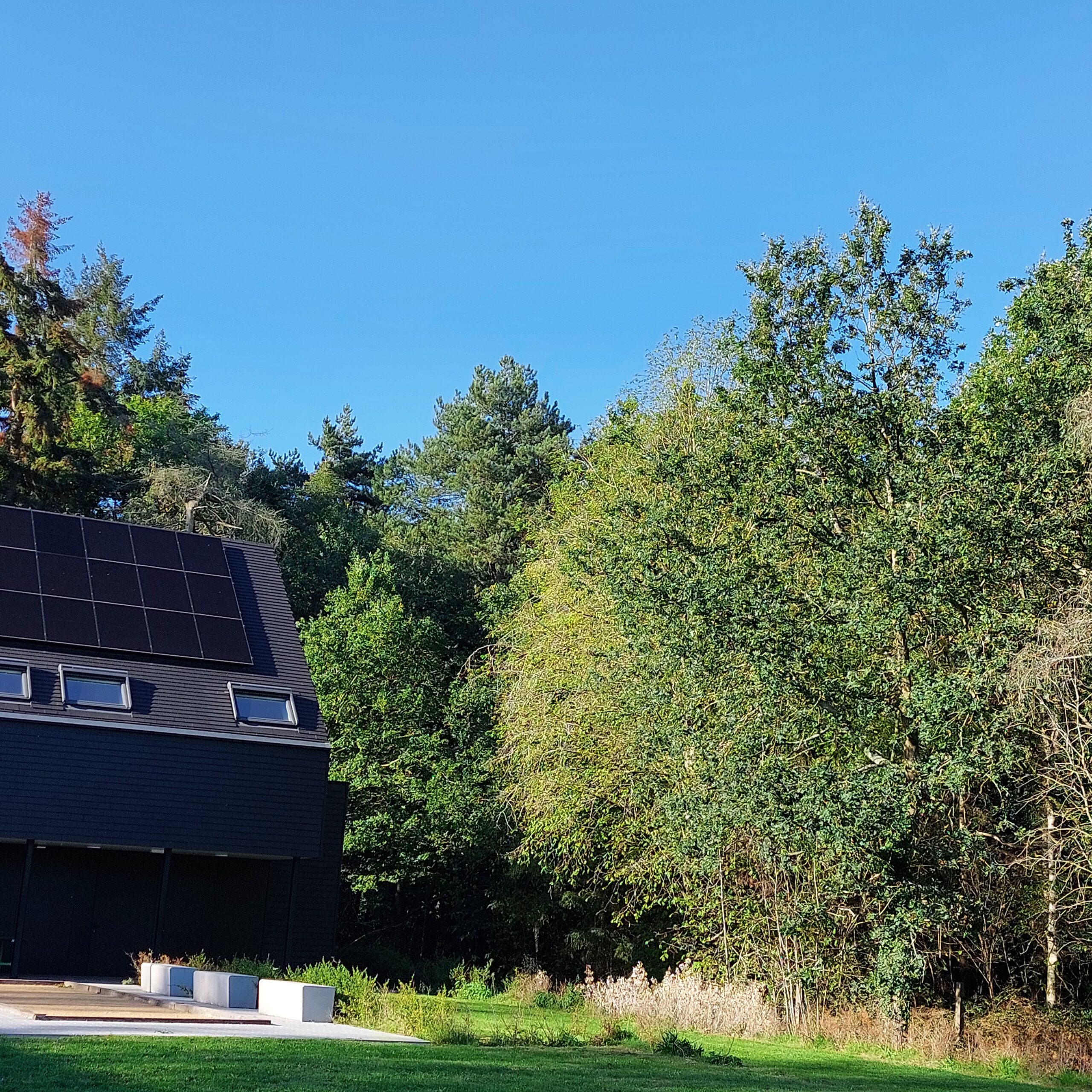 Natuur in Bethanië oktober 2026
