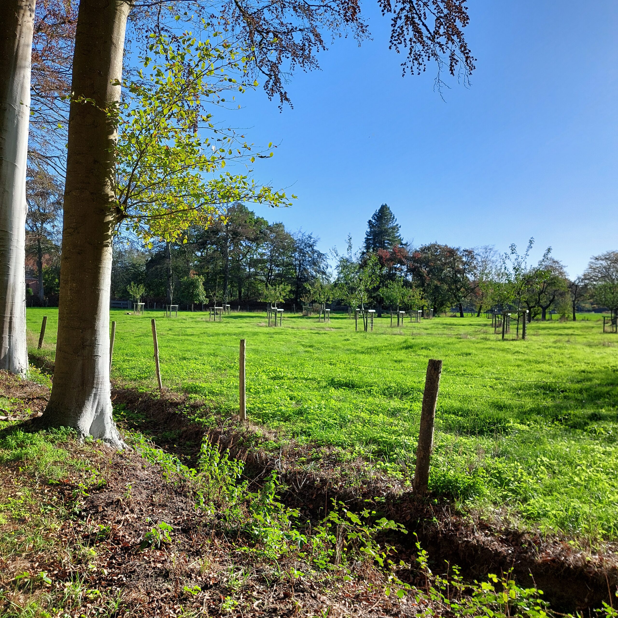 Natuur in Bethanië oktober 2026